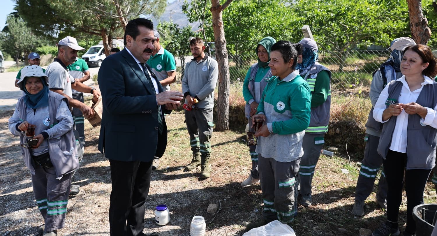 PAMUKKALE’DE 823 KİLOMETREKARELİK ALANDA YABANİ OT MESAİSİ